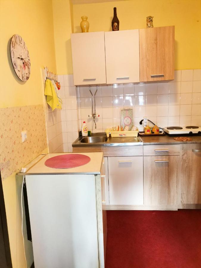 Apartment Andjela Zlatibor Dış mekan fotoğraf