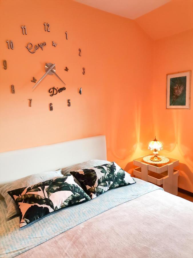 Apartment Andjela Zlatibor Dış mekan fotoğraf