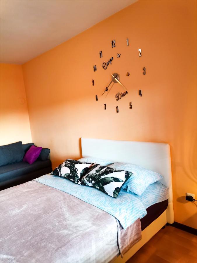 Apartment Andjela Zlatibor Dış mekan fotoğraf