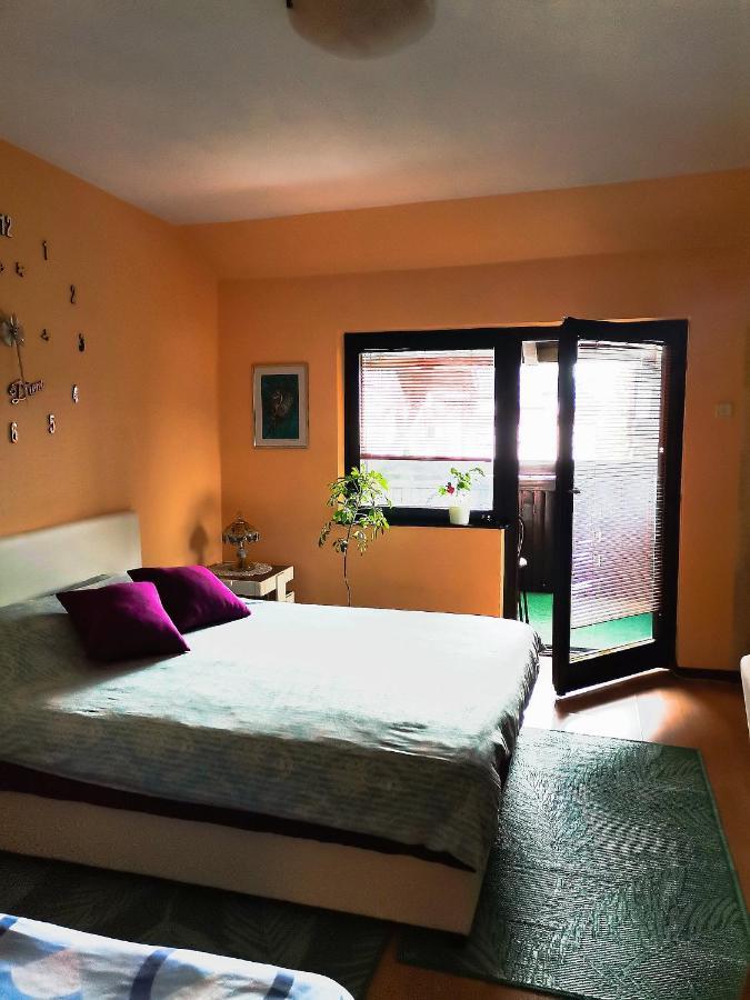Apartment Andjela Zlatibor Dış mekan fotoğraf