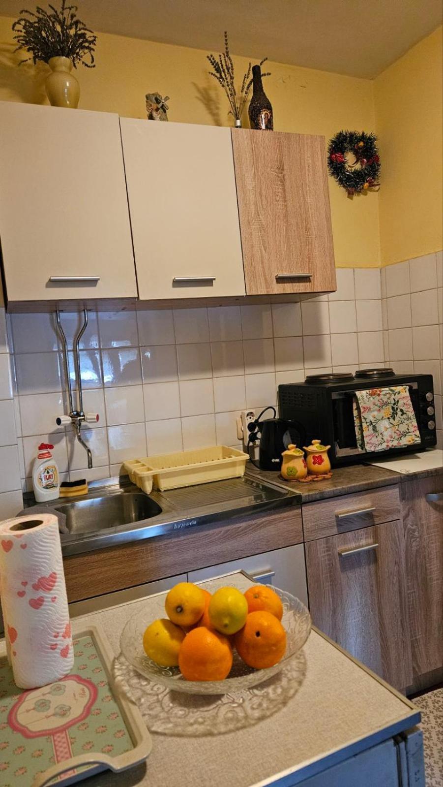Apartment Andjela Zlatibor Dış mekan fotoğraf