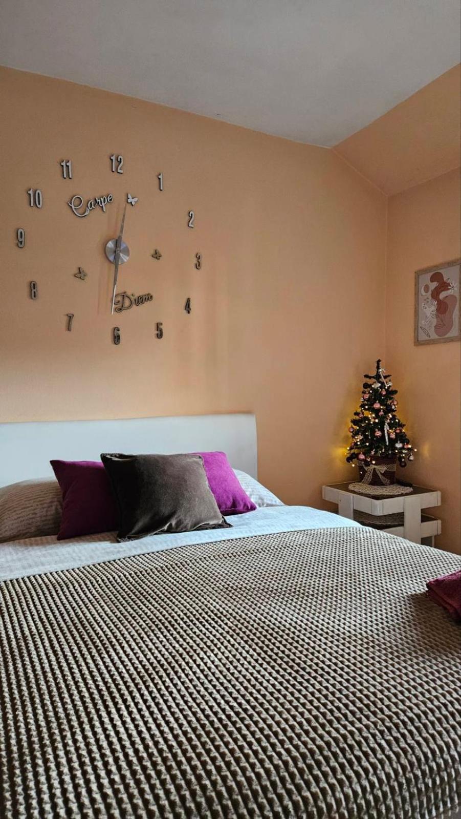 Apartment Andjela Zlatibor Dış mekan fotoğraf